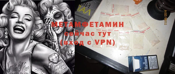 шишки Осинники