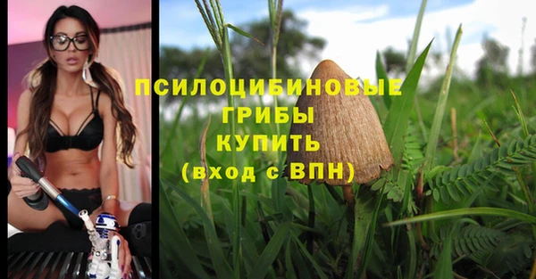 ALPHA-PVP Елабуга