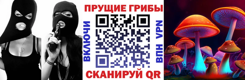 где продают   Среднеуральск  Псилоцибиновые грибы Psilocybine cubensis 