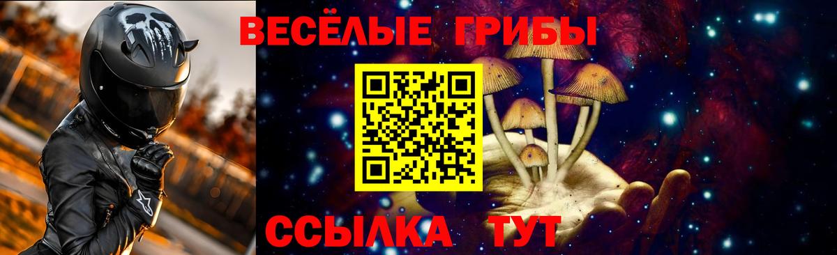 Галлюциногенные грибы GOLDEN TEACHER Среднеуральск