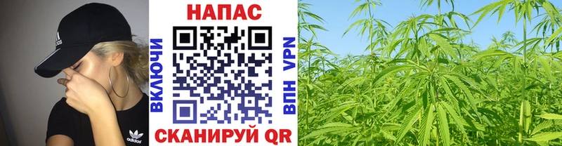 Каннабис Amnesia  наркошоп  Среднеуральск 