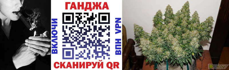 Конопля сатива Среднеуральск